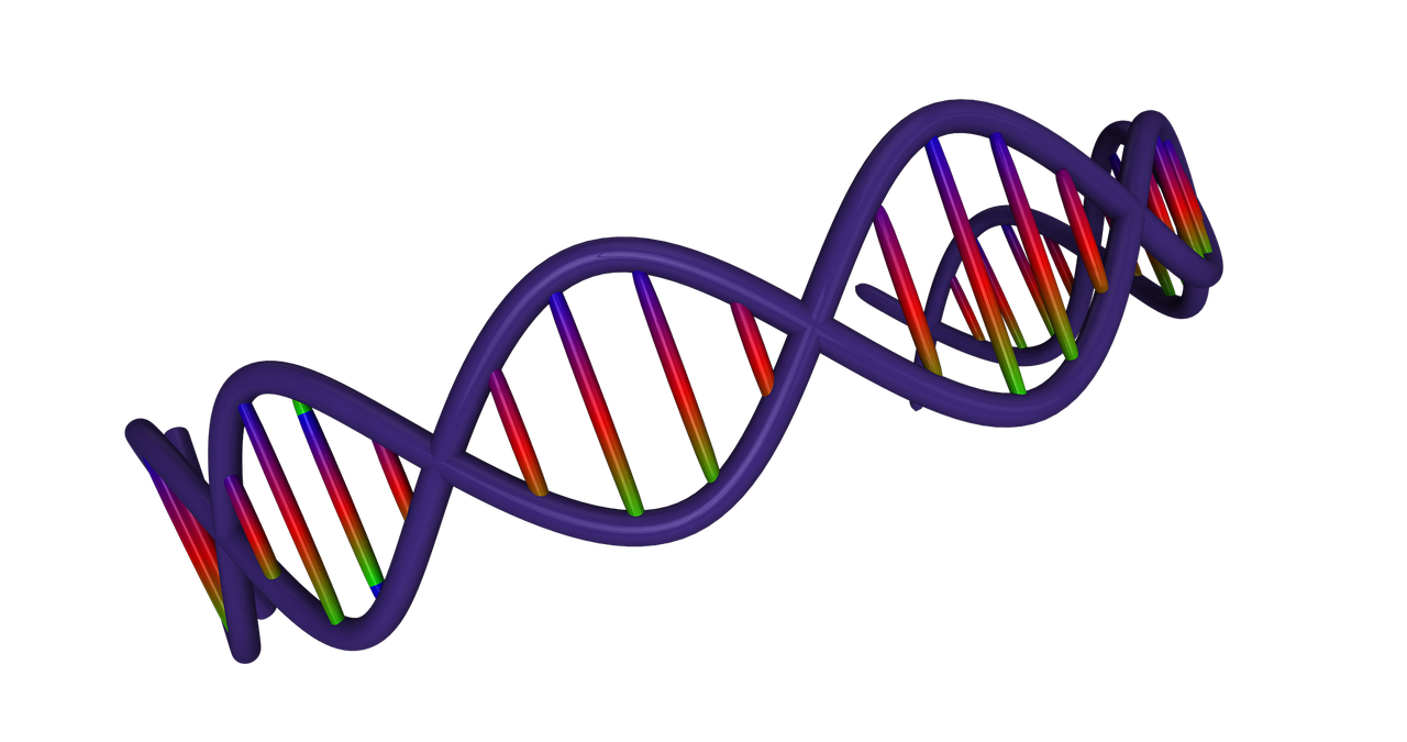 生物通过遗传变异和什么不断进化︰(生物遗传下来的是什么而不是什么)