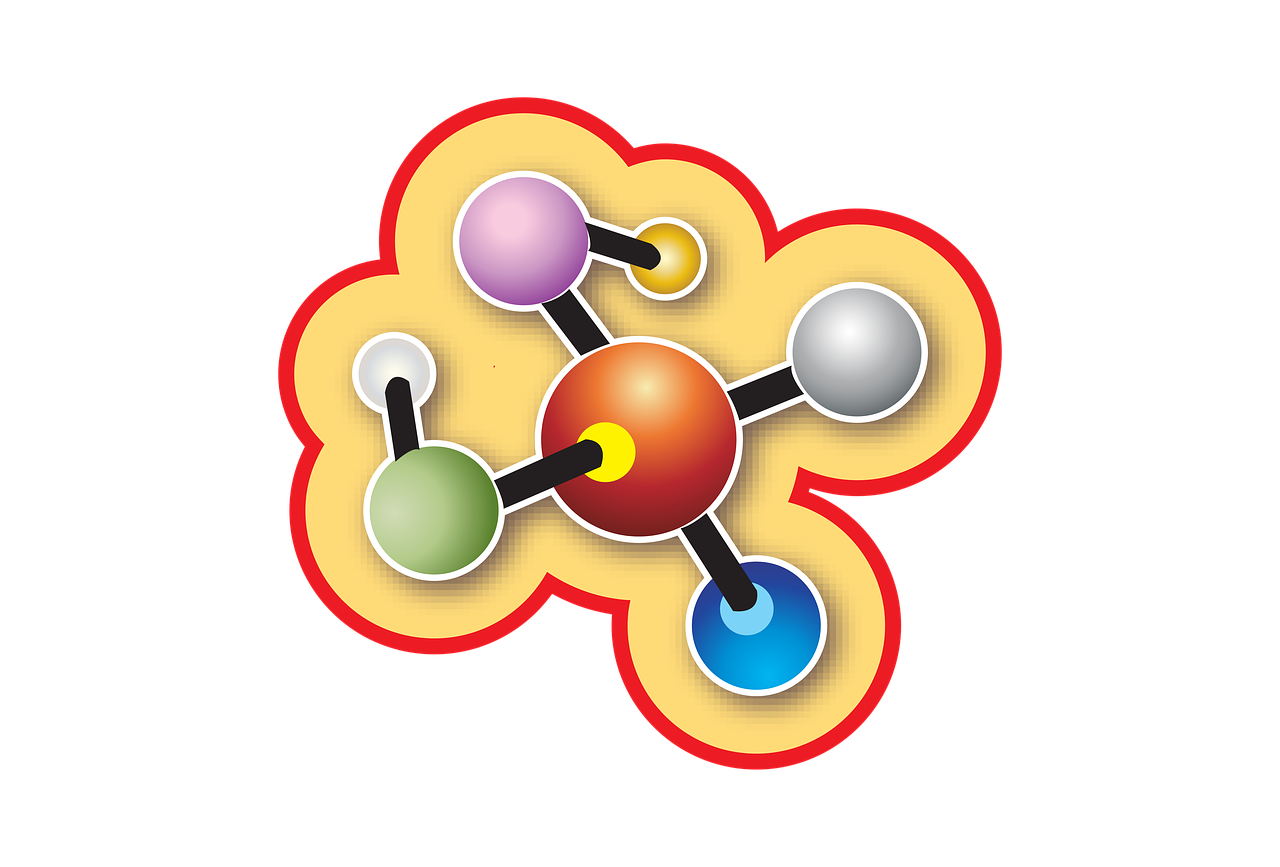 生物通过遗传变异和什么不断进化︰(生物遗传下来的是什么而不是什么)