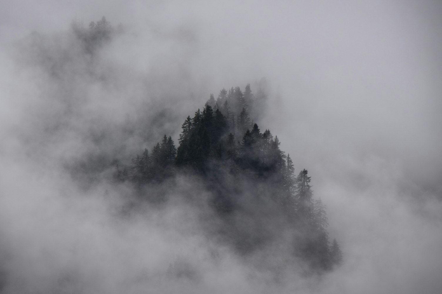 开门见山好不好.开门见山好不好风水学 开门见山好不好.开门见山好不好风水学