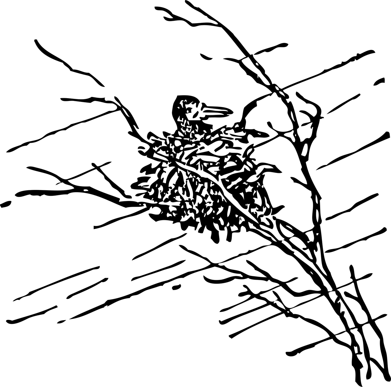 生物可以按照什么分类.生物分类的依据是生物的什么程度 生物可以按照什么分类.生物分类的依据是生物的什么程度