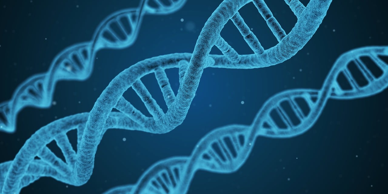 【初中生物实验有哪些_1/初中生物实验有哪些要注意的】