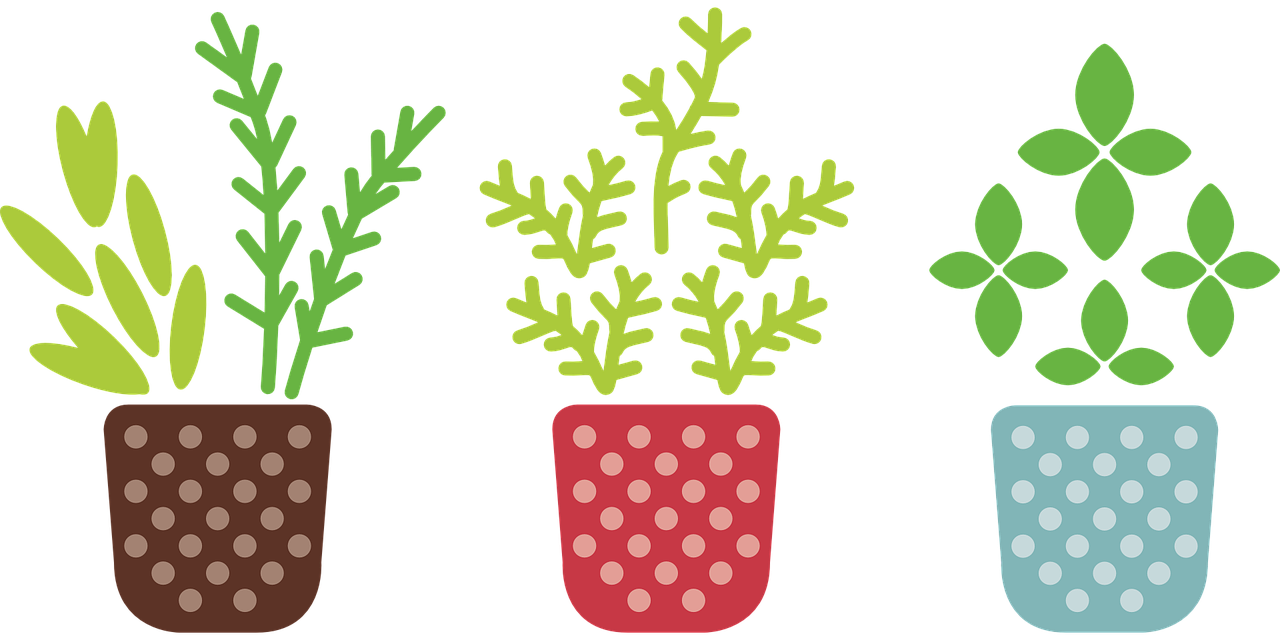 【四下科学植物的生长变化试题/植物的生长变化教学重难点】