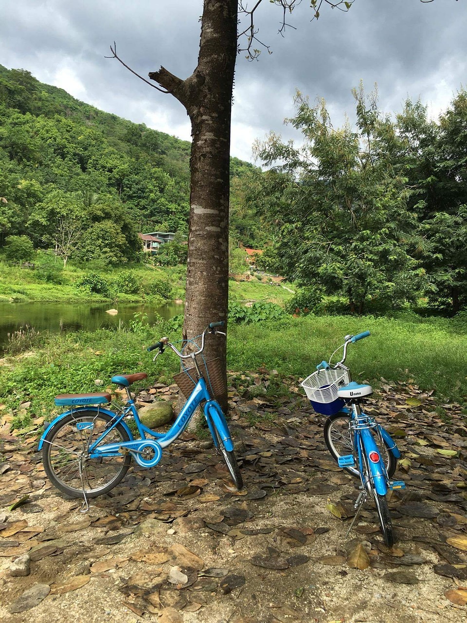 “生态旅游的八个标准是什么？	” 生态旅游的定义和意义？